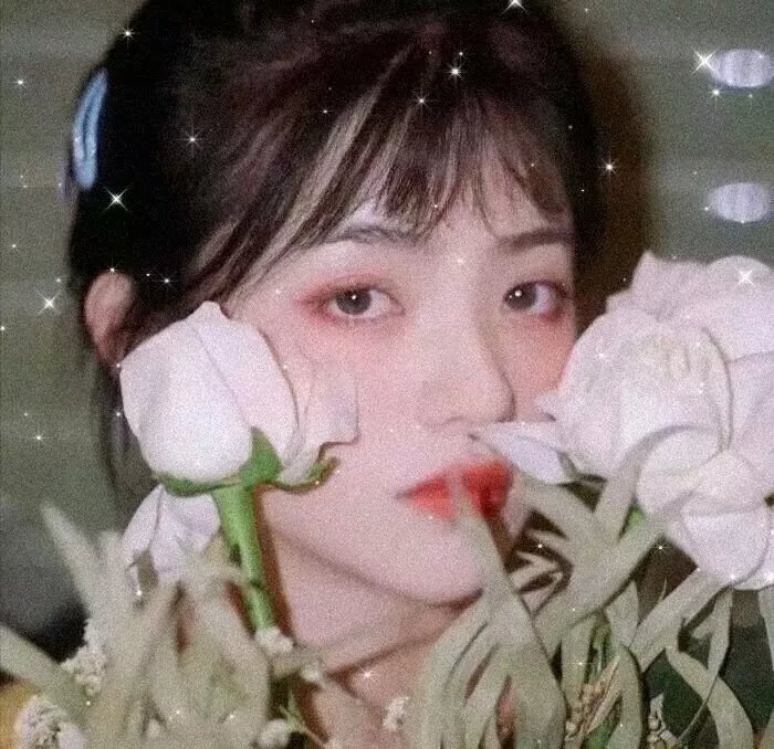 剑花烟雨江南粤语