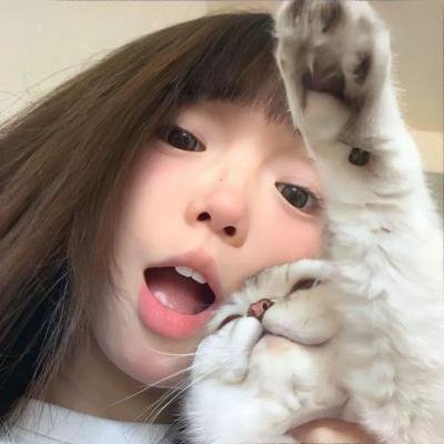 连环情杀案